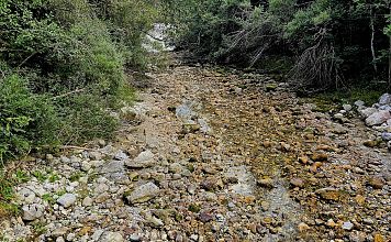 a-fischereiverband-44-2025-fischerei-2