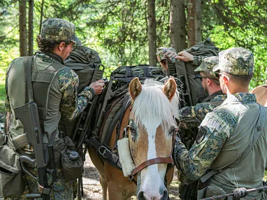 a-oebh-uebung-ttz-juni25-4-4