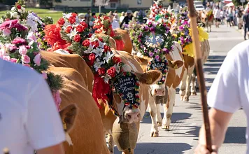 Almabtriebe im Brixental 2026