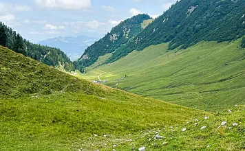 Almpflegetag Symbolbild Natur Kaisertal