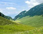 Almpflegetag Symbolbild Natur Kaisertal