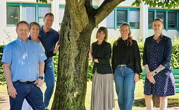 AMS Team Unternehmensberatung
