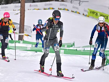 Drei Skisportler in Rennanzügen steigen mit Tourenski einen schneebedeckten Hügel hinauf, umgeben von schneebedeckten Bäumen und Zuschauern im Hintergrund.