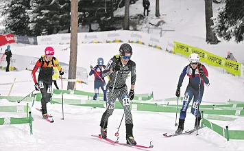 Andreas Mayer 2026