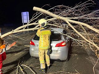 Aktuelle Meldungen aus dem Bezirk