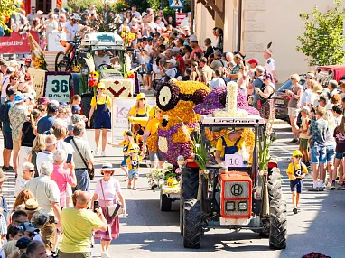 blumencorso4 2026_philipp-fuchs
