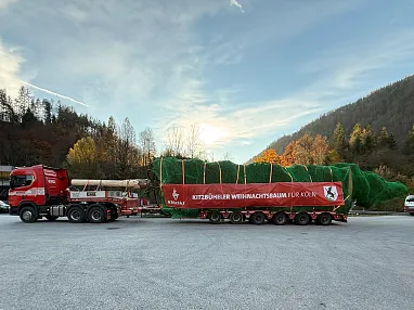 christbaum-worister-4