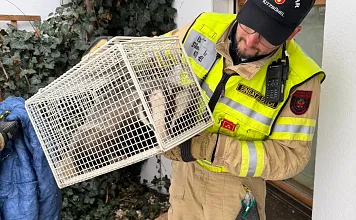 Ein Feuerwehrmann hält einen Käfig mit einem geretteten Tier. Er trägt eine gelbe Schutzjacke und eine schwarze Mütze. Im Hintergrund sind Pflanzen zu sehen.