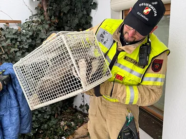 Ein Feuerwehrmann hält einen Käfig mit einem geretteten Tier. Er trägt eine gelbe Schutzjacke und eine schwarze Mütze. Im Hintergrund sind Pflanzen zu sehen.