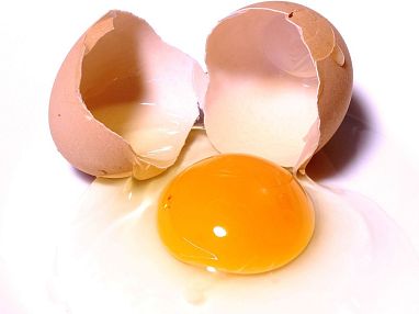 egg-pixabay-emirkrasnic-4