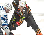 eishockey mannheim graz99ers