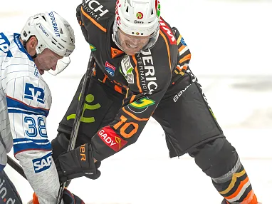eishockey mannheim graz99ers