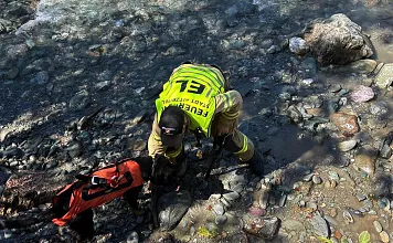 Feuerwehr Hund in Ache