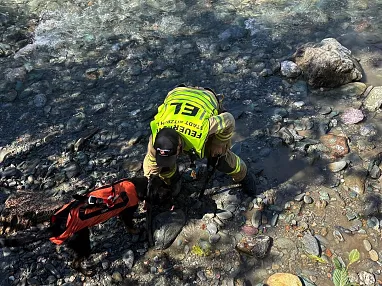Feuerwehr Hund in Ache