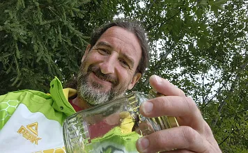 Hornissennest Kössen gefunden