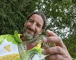 Hornissennest Kössen gefunden