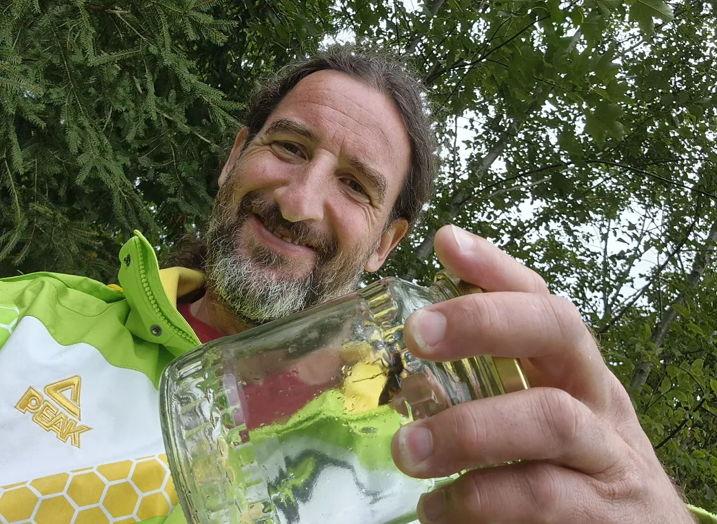 Hornissennest Kössen gefunden