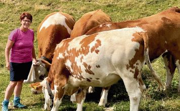 muss-helgabrunschmid-fotobrunschmid-2-2