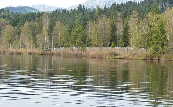 p1170733-2