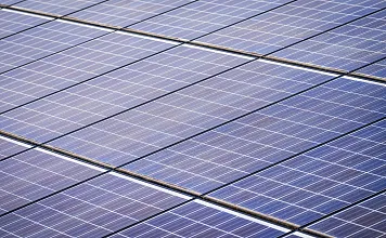 pexels-nc-farm-bureau-mark-15751136-2