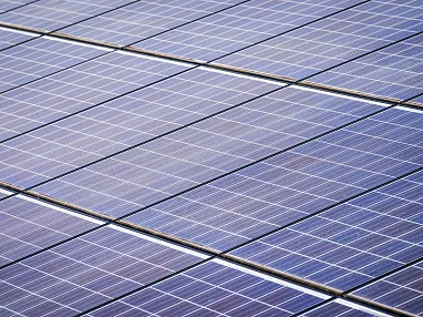 pexels-nc-farm-bureau-mark-15751136-4