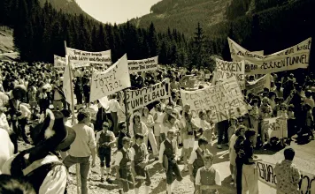 plocken-jochbergwald-2