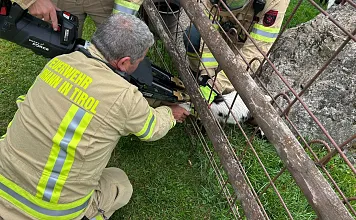 Rettung_Ziege aus Notlage_ St. Johann