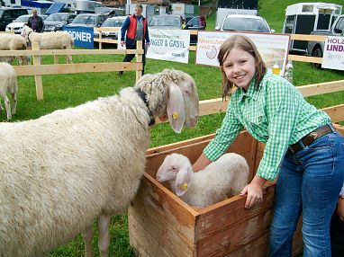 Schafifest Kelchsau3_38_2025_Brigitte Eberharter.webp