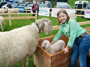 Schafifest Kelchsau3_38_2025_Brigitte Eberharter.webp