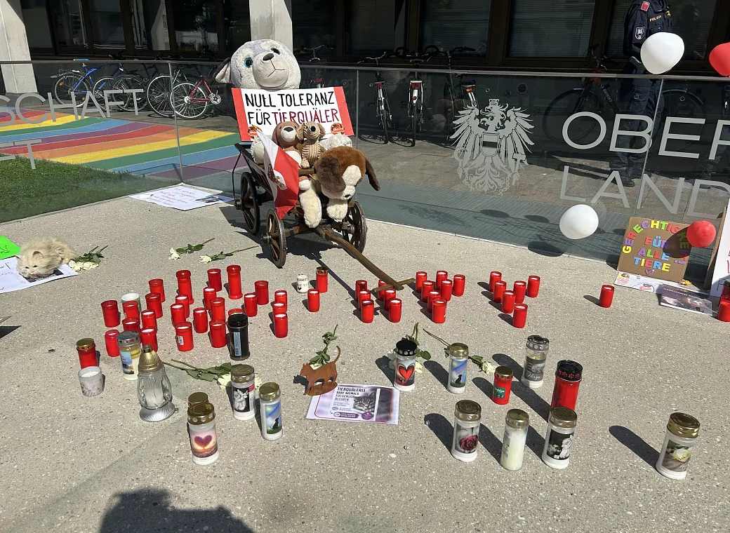 Schmotzer Mahnwache Innsbruck