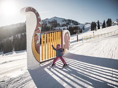 Snowpark Steinplatte (c) Freezing Motions by Klaus Listl (6)