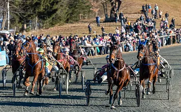 Stefanirennen 2025 St. Johann
