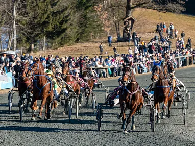 Pferderennen auf einer Schotterbahn mit zahlreichen Zuschauern am Rand. Mehrere Pferde ziehen zweirädrige Sulkys und Fahrer, die voller Spannung fahren.