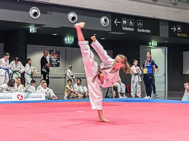 Taekwondo Fieberbrunn