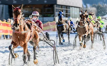 Pferdekutschrennen auf einer verschneiten Strecke. Mehrere Fahrer mit Helmen lenken ihre Pferde, während Schnee um sie aufwirbelt. Winterliche Kulisse.