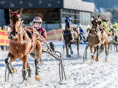 Pferdekutschrennen auf einer verschneiten Strecke. Mehrere Fahrer mit Helmen lenken ihre Pferde, während Schnee um sie aufwirbelt. Winterliche Kulisse.