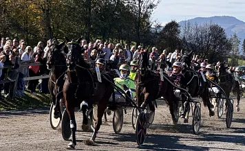 Trabrennen Kirchberg_Klausner3