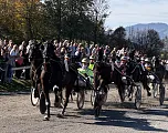 Trabrennen Kirchberg_Klausner3
