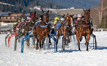 Trabrennen Kitzbühel-Reith