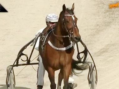 Trabrennen Rösslwirt