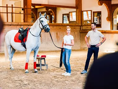 Weltklasse Dressur Stanglwirt