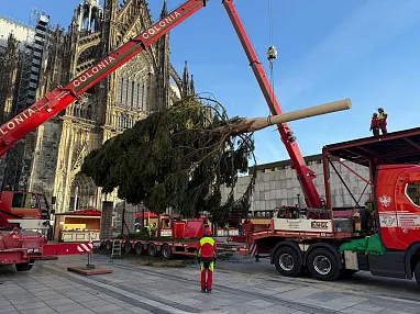 whatsapp-image-2025-11-06-at-11