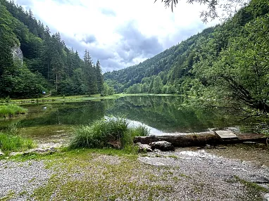 Wiesensee_Walk