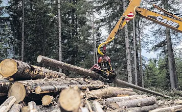 Wirtschaftsfaktor_Wald