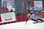 Hahnenkammrennen 2008 - Slalom Bild 7