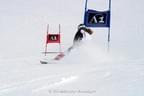 ÖSV Ski-Damen Bild 15