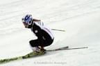 ÖSV Ski-Damen Bild 8