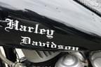 Harley Davidson Biker Kaiserwinkl & Friends .... Bild 13