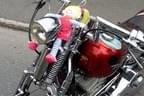 Harley Davidson Biker Kaiserwinkl & Friends .... Bild 21