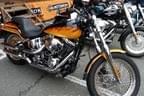 Harley Davidson Biker Kaiserwinkl & Friends .... Bild 9